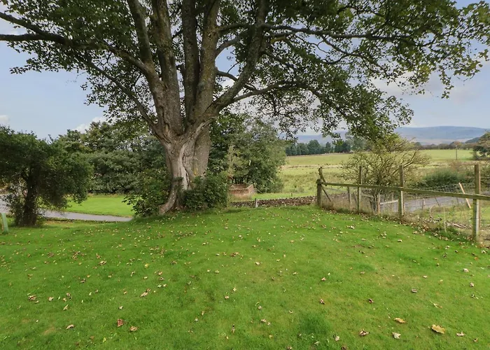 Row End Farm Tatil Evi *